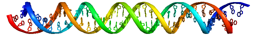 revolving DNA strand